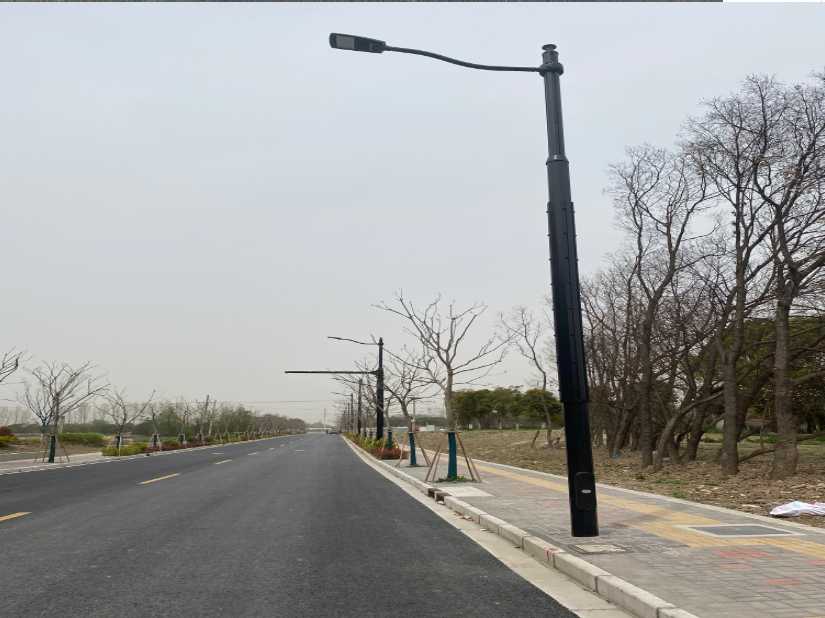 临泽县上海综合杆 太阳能路灯工程